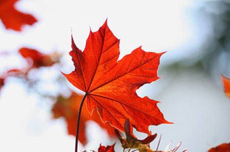 1527069177319814.jpg 02.jpg