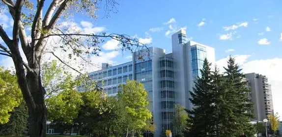 1552038640667820.png image.png