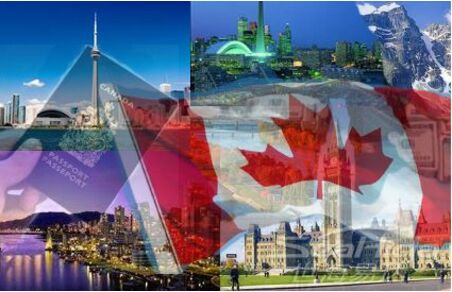 1553492774970661.jpg 2.jpg