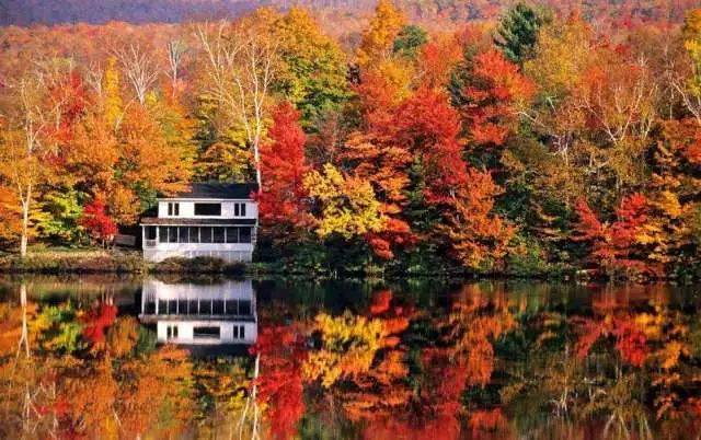 1563182169586978.jpeg 1563182169586978.jpeg